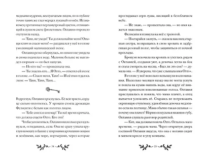 Октавия Блум и пропавший ключ. Книга 1 - фото 7
