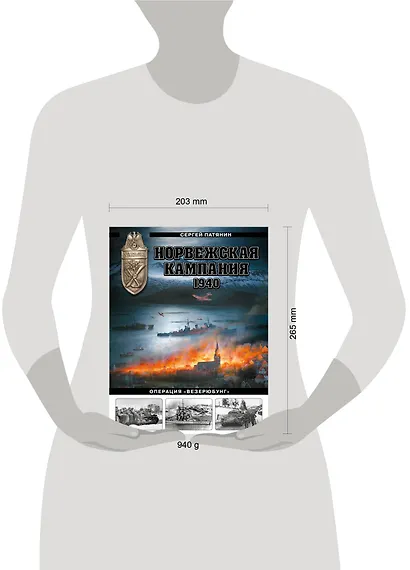 Норвежская кампания 1940 г. Операция «Везерюбунг» - фото 4