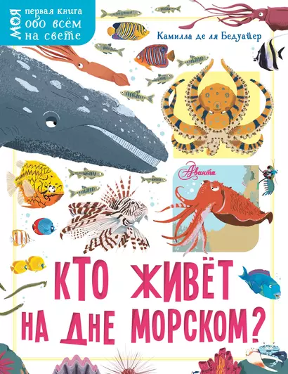 Кто живёт на дне морском? - фото 1