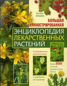 Большая иллюстрированная энциклопедия лекарственных растений: Более 300 растений средней полосы России - фото 1
