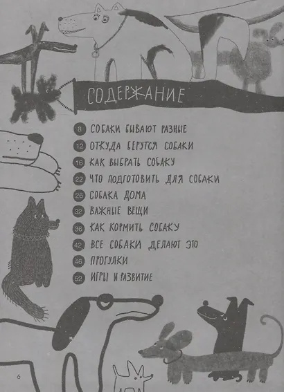Твоя собака - фото 3