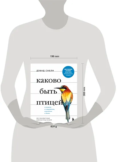 Каково быть птицей: о полетах и гнездовании, кормлении и пении. Как и чем живут самые известные птицы на земле - фото 11