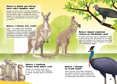 200 ПОЧЕМУ. Вопросы и ответы о животных - фото 7