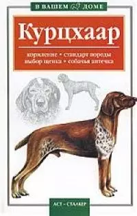 Курцхаар: Кормление, стандарт породы, выбор щенка, собачья аптечка - фото 1