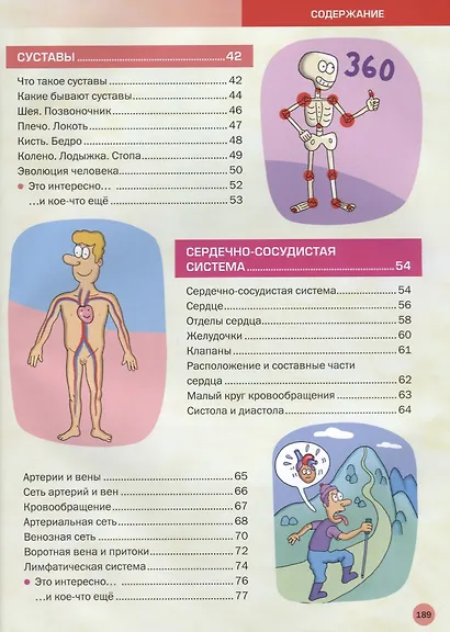 Энциклопедия человека. Как устроено наше тело - фото 3