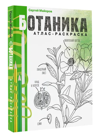 Ботаника. Атлас-раскраска - фото 3