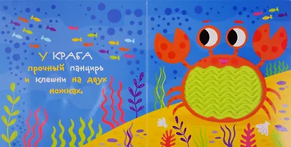 Кто в море живет - фото 2