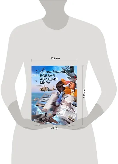 Легендарная боевая авиация мира - фото 2