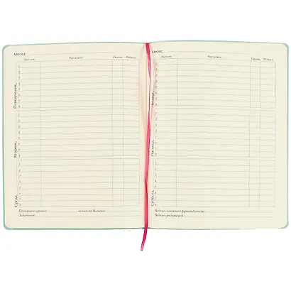 Дневник школьный «Ultrasoft. Любимый кот», А5, 48 листов - фото 2