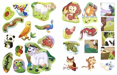 Джунгли - фото 2