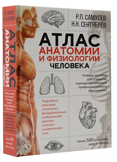 Атлас анатомии и физиологии человека. Учебное пособие для студентов учреждений среднего профессионального образования - фото 3