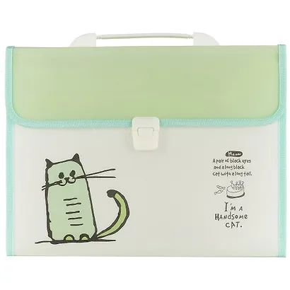 Портфель «Handsome cat», А4, 12 отделений - фото 4