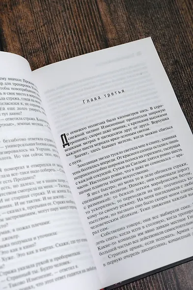 Месяц за Рубиконом - фото 9