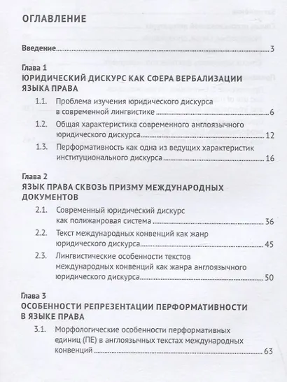 Язык права сквозь призму международных соглашений. Монография - фото 2