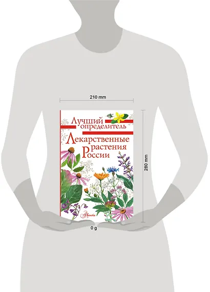 Лекарственные растения России - фото 6