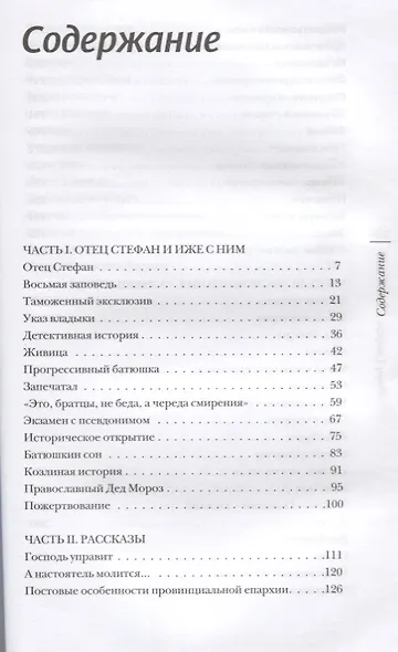 Отец Стефан и иже с ним (ЗелСерНад) Авдюгин - фото 2