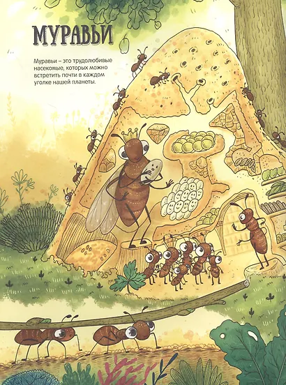 ЭНЦИКЛОПЕДИЯ В КАРТИНКАХ. НЕОБЫЧНЫЙ МИР НАСЕКОМЫХ глянц.ламин. мелов. 215х290 - фото 3