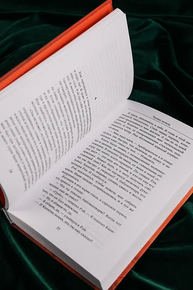 Черная метель - фото 11