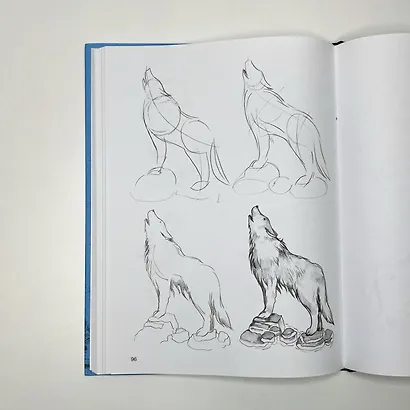 Суперкурс по рисованию. Голова и фигура человека - фото 4