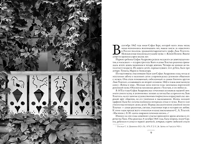 Три дочери Льва Толстого - фото 3