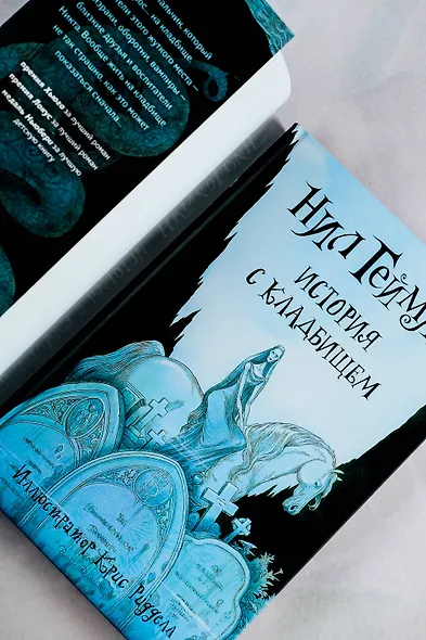 История с кладбищем: роман - фото 6