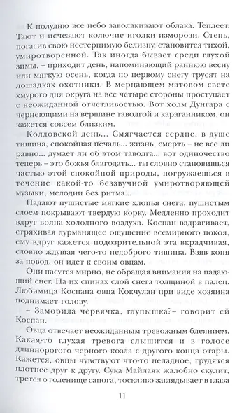 Свет очага - фото 7