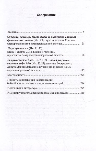 Древнецерковные толкования трудных мест Евангелия от Иоанна: Богословский анализ содержания источников: Три очерка - фото 2