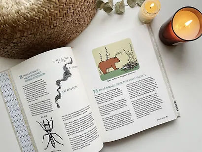 Может ли лошадь решать уравнения? И ещё 320 вопросов о животных - фото 9