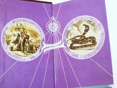 Наследник раджи - фото 14