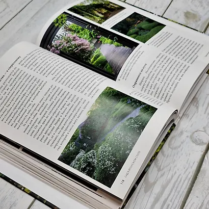 Сад в японском стиле. От идеи до воплощения - фото 13