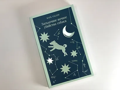 Загадочное ночное убийство собаки - фото 5