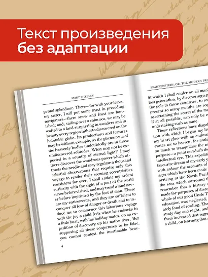 Frankenstein  or, The Modern Prometheus - фото 6