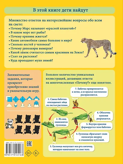 Моя первая большая книга ПОЧЕМУ - фото 2