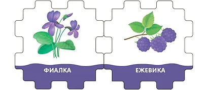 Книжный конструктор "Цвета" - фото 4
