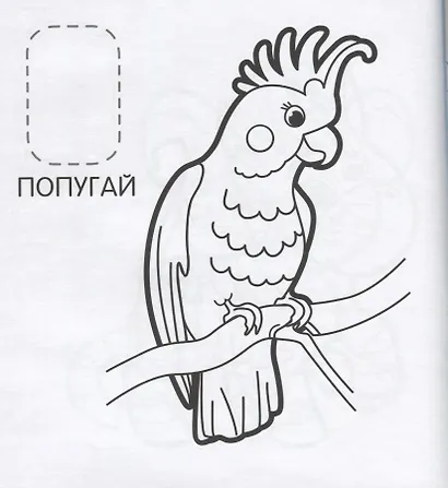 Удивительные животные - фото 3