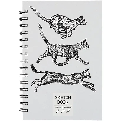 Скетчбук А5 100л "SKETCHBOOK. Кошки", 100г/м2, евроспираль - фото 1