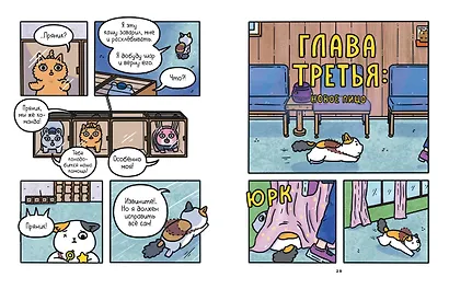 Приключения котика и кошечки. Книга 4. Посох Знаний - фото 12