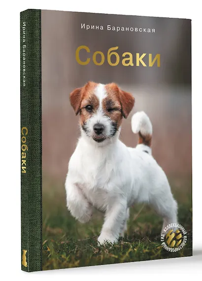 Собаки - фото 3