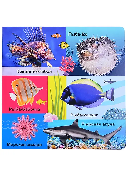 Морские обитатели - фото 3