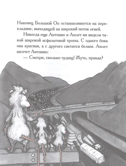 Опоссум по имени Апельсинка - фото 5
