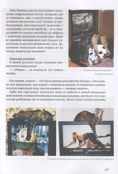 Коты и Кошки. Заметки диванного натуралиста - фото 7