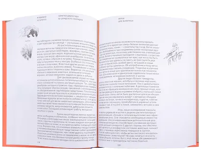 Заметки директора Эр-Риярдского зоопарка - фото 5