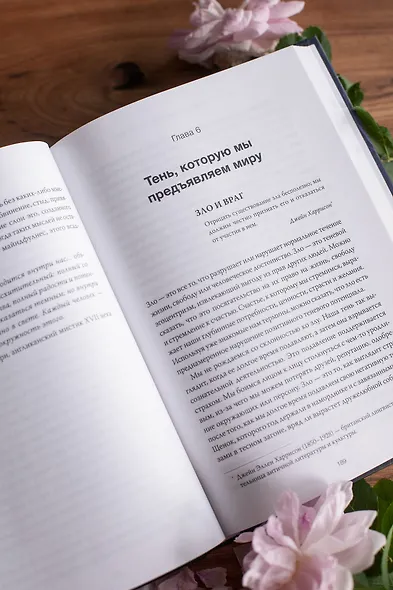 Танцующие с тенью. Архетип тени для трансформации внутренних демонов в силу и свободу - фото 11