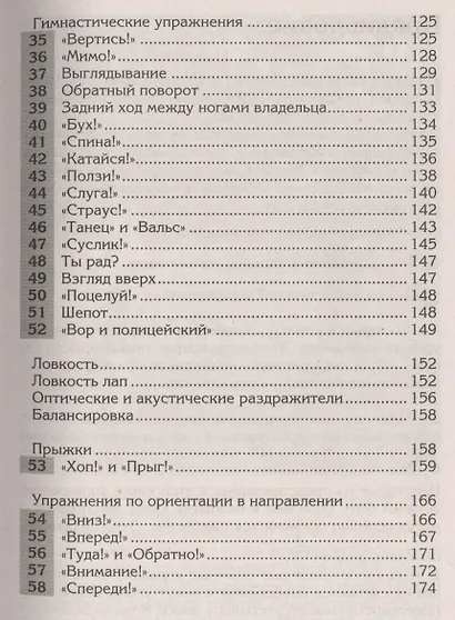 Веселая школа для собак. 100 совершенно новых игр - фото 7