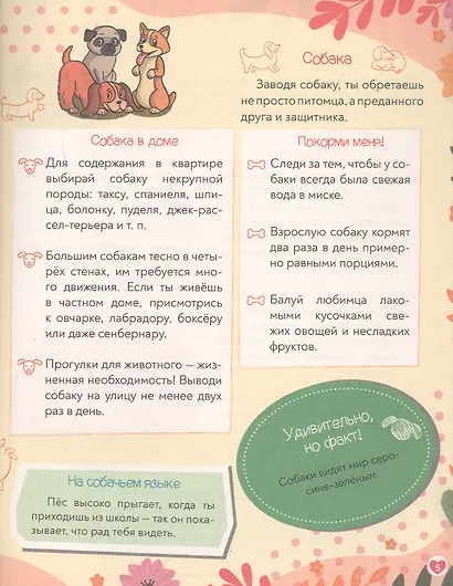 Хобби и развлечения. Super энциклопедия для девочек - фото 6