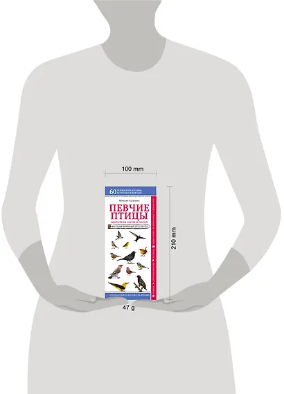 Певчие птицы. Обитатели лесов и полей. Наглядный карманный определитель - фото 4