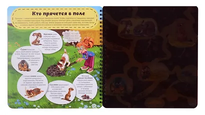 Что там, под Землёй? Увлекательное путешествие с фонариком - фото 4