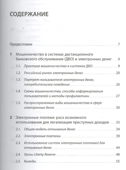 Мошенничество в платежной сфере: Бизнес-энциклопедия - фото 2