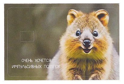 Наклейка на банковскую карту "Квокка" - фото 3