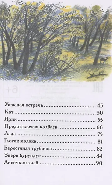 Рассказы о природе - фото 4